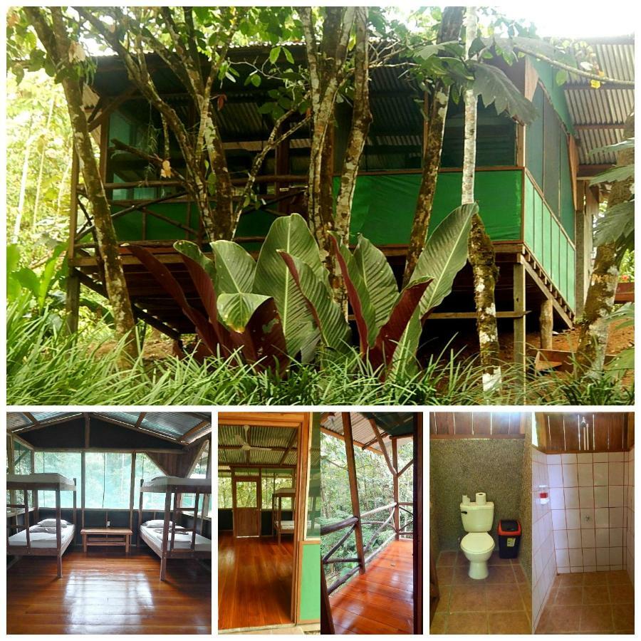 Naguala Jungle Lodge Drakes Bay Exterior foto